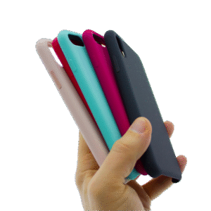 Accessoires avec arrière-plan supprimé Magna Fringilla